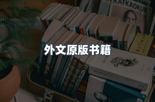 海外电子书
